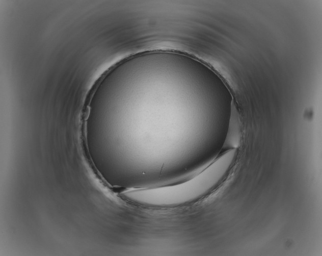 X0000091961134200709271341