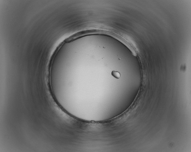 X0000091961136200709271341