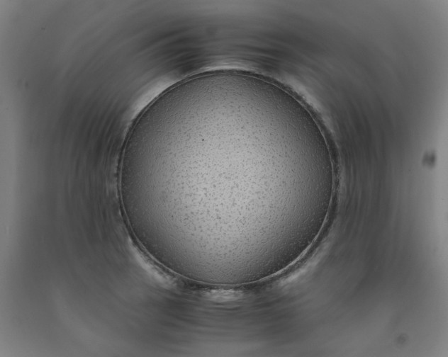 X0000091961137200709271341