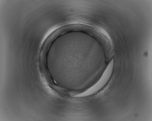 X0000091961138200709271341