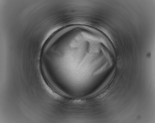 X0000091961139200709271341