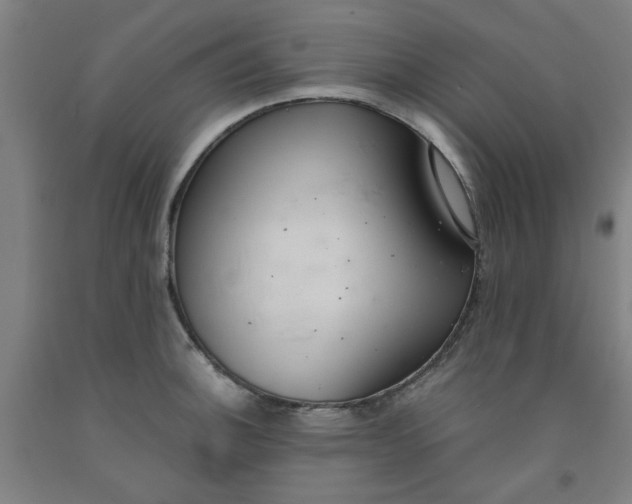 X0000091961140200709271341