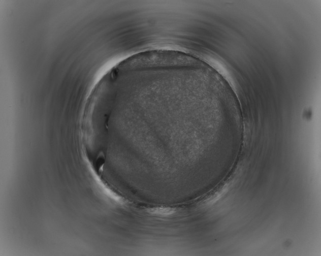 X0000091961141200709271341