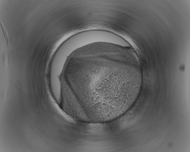 X0000091961142200709271341