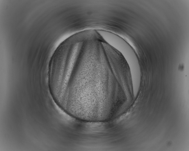 X0000091961143200709271341