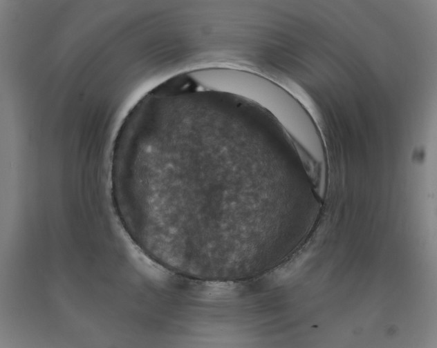 X0000091961144200709271341