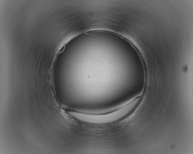 X0000091961145200709271341