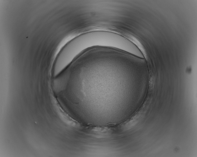 X0000091961146200709271341