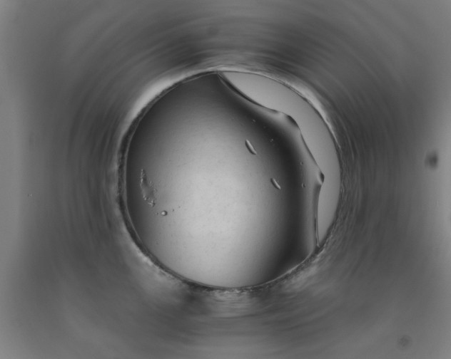 X0000091961147200709271341