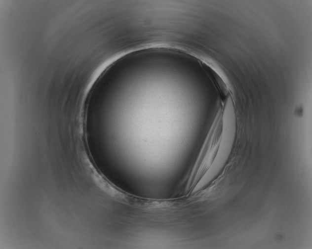 X0000091961148200709271341