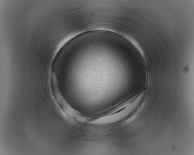 X0000091961149200709271341