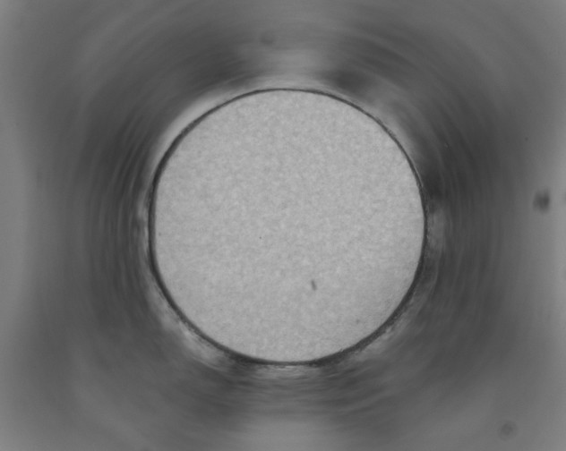 X0000091961150200709271341