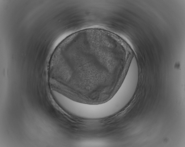 X0000091961151200709271341