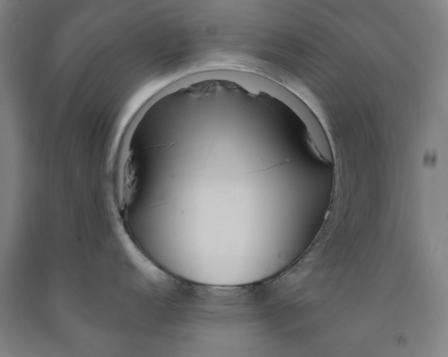 X0000091961152200709271341