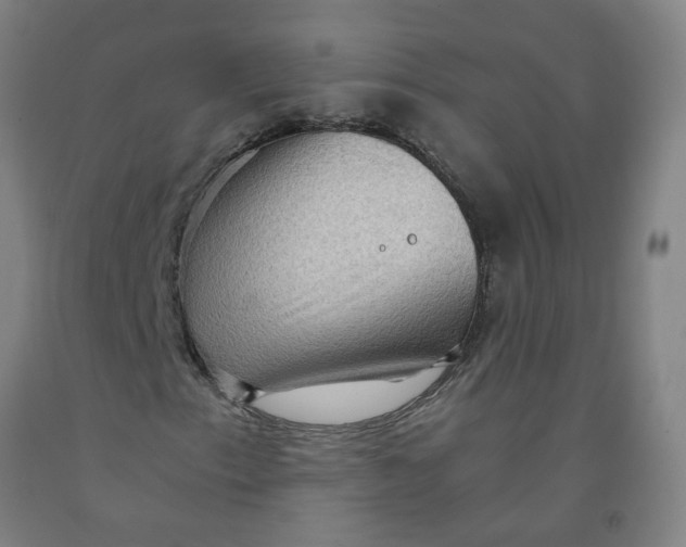 X0000091961153200709271340