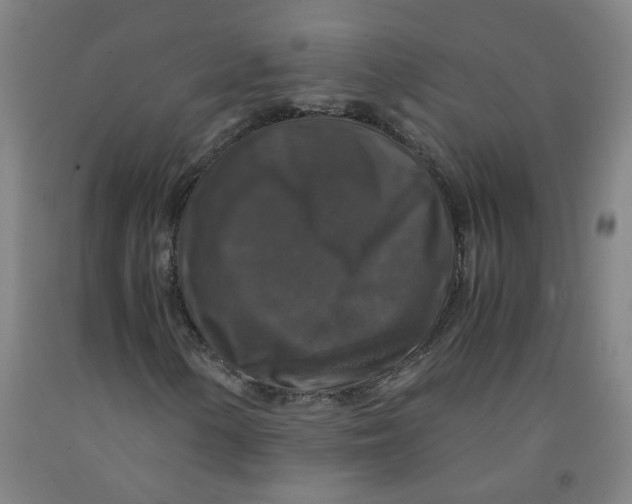 X0000091961154200709271340