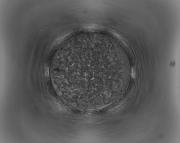 X0000091961155200709271340