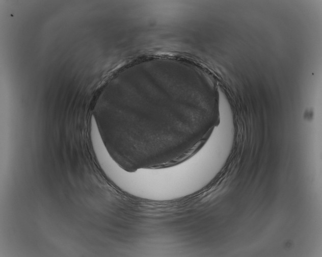 X0000091961156200709271340