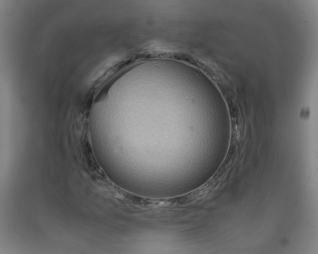 X0000091961157200709271340