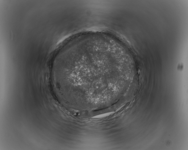 X0000091961158200709271340