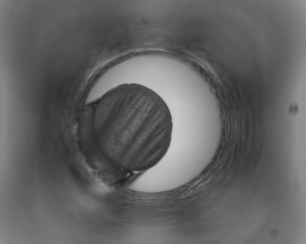 X0000091961160200709271340