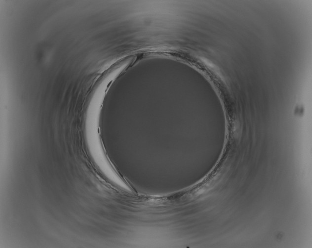 X0000091961161200709271340