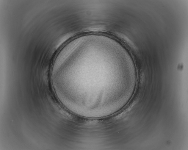 X0000091961162200709271340