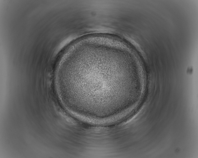 X0000091961163200709271340