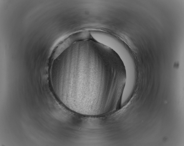 X0000091961164200709271340