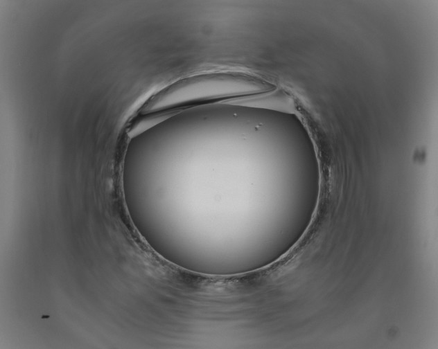 X0000091961165200709271340