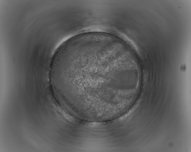 X0000091961166200709271340