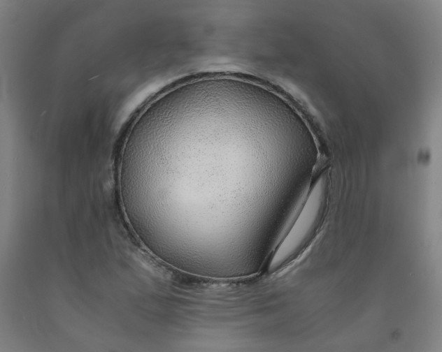 X0000091961167200709271340