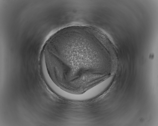 X0000091961168200709271340