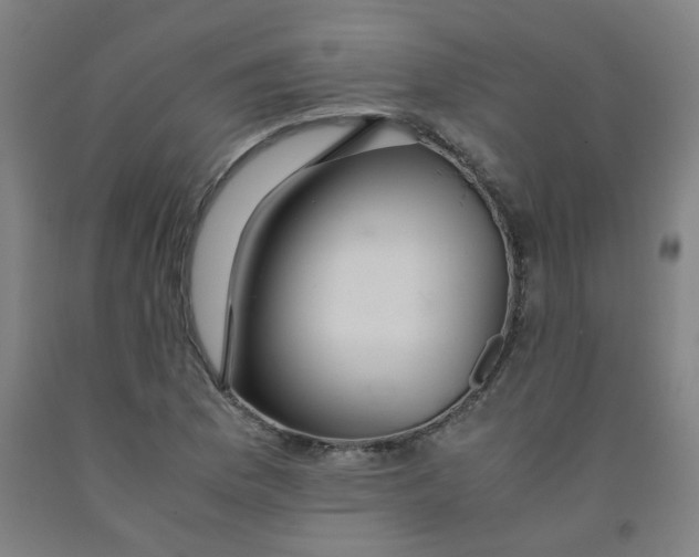 X0000091961169200709271340