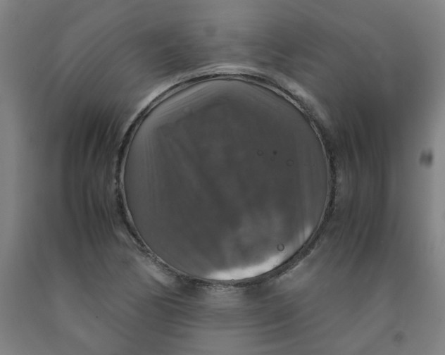 X0000091961170200709271340