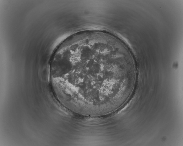 X0000091961171200709271340