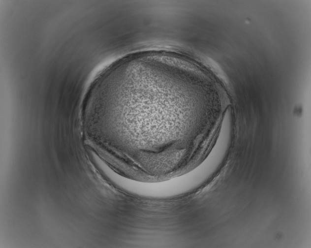 X0000091961172200709271340