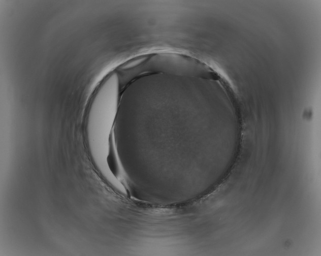 X0000091961173200709271340