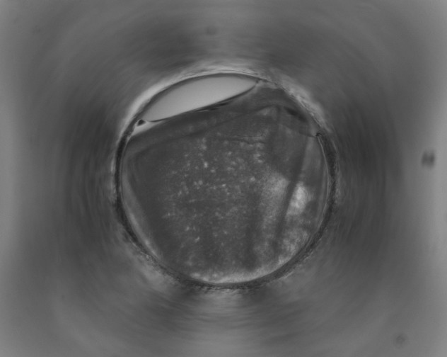 X0000091961174200709271340