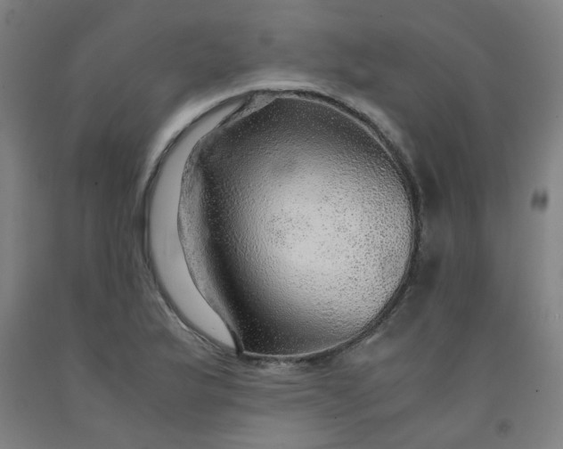 X0000091961175200709271340