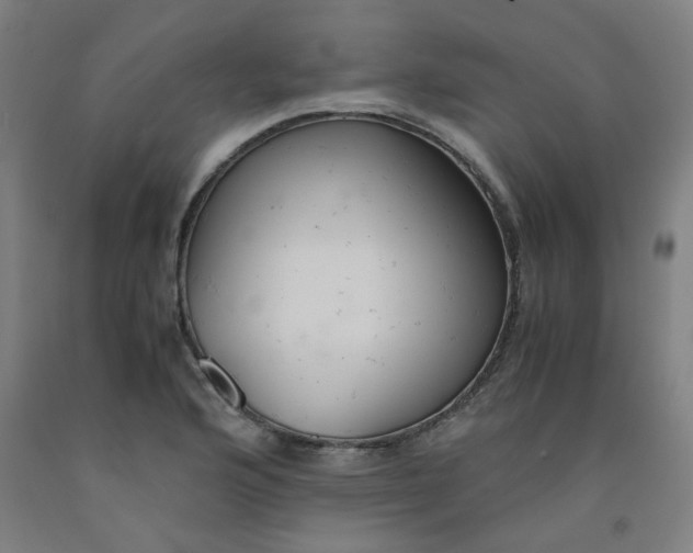 X0000091961176200709271340