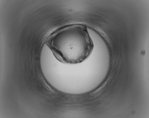 X0000091961177200709271340