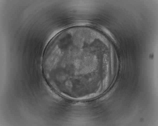 X0000091961178200709271340