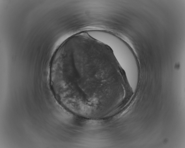 X0000091961179200709271340