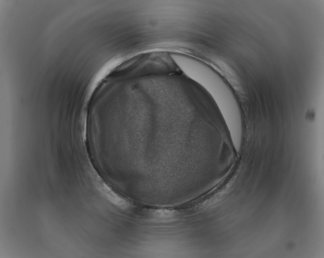 X0000091961180200709271340