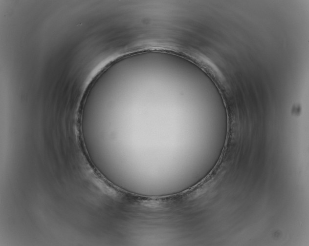 X0000091961182200709271340