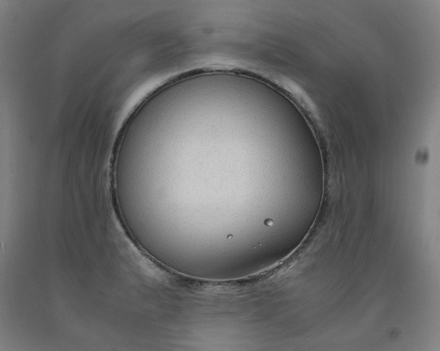 X0000091961183200709271340