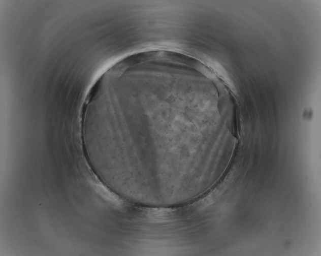 X0000091961184200709271340