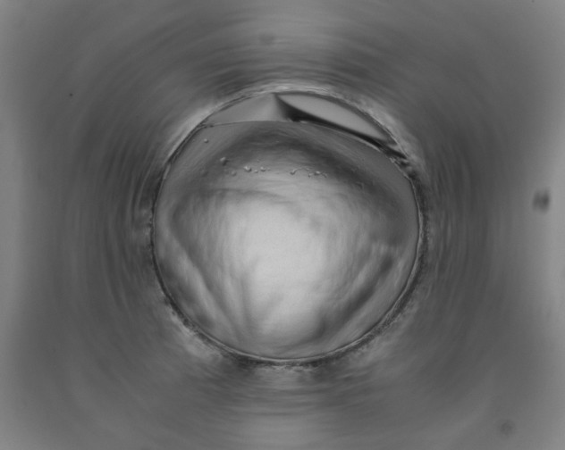 X0000091961185200709271340