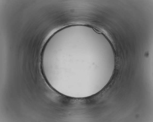 X0000091961187200709271340